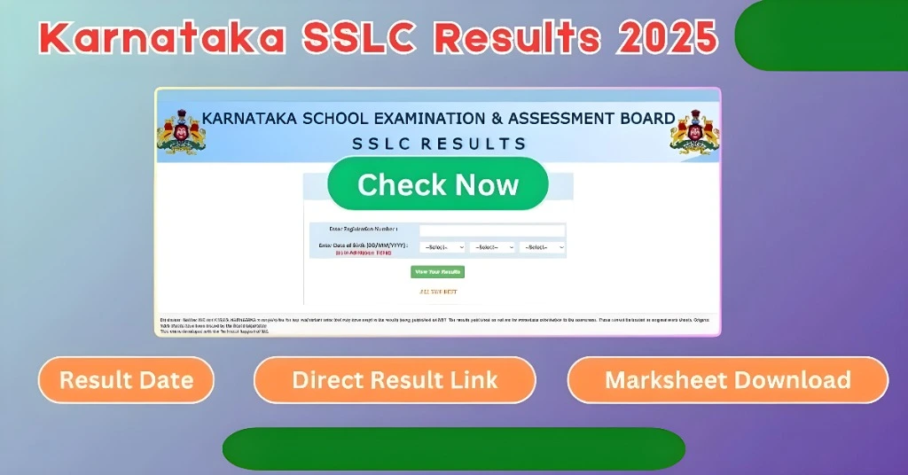 What Your Result Page Shows